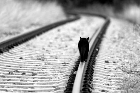 22001528_1207313942_4487721_42417