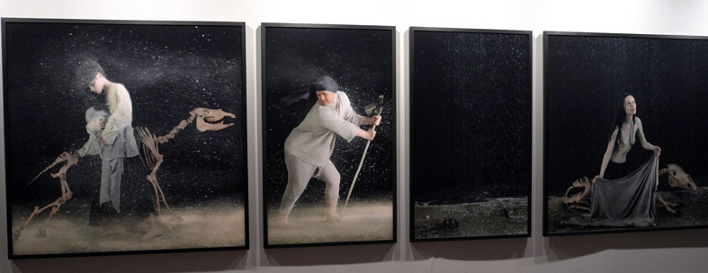 c16f4b2d9e176c187b8dbdd61c3d5315