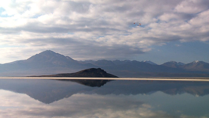 SURIRE-Isla-y-laguna