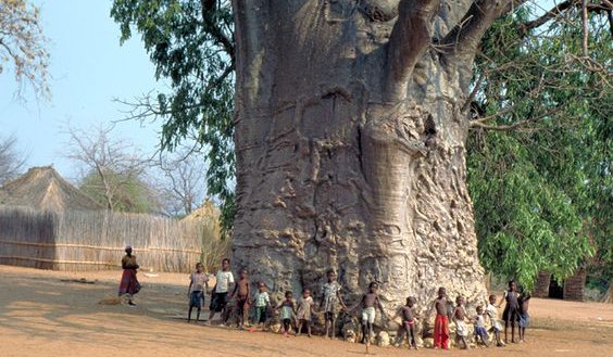 фильмы-1-ac18bf41e01d047b47118afc7145e82f