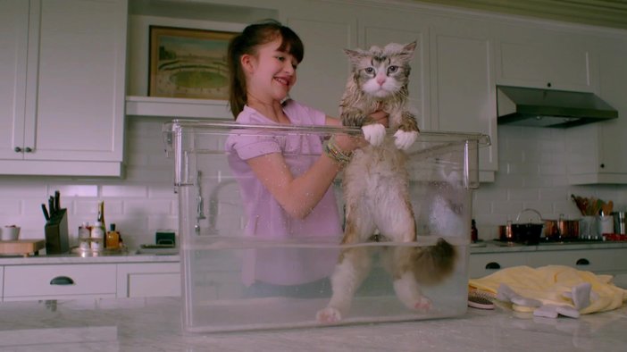 Без названия